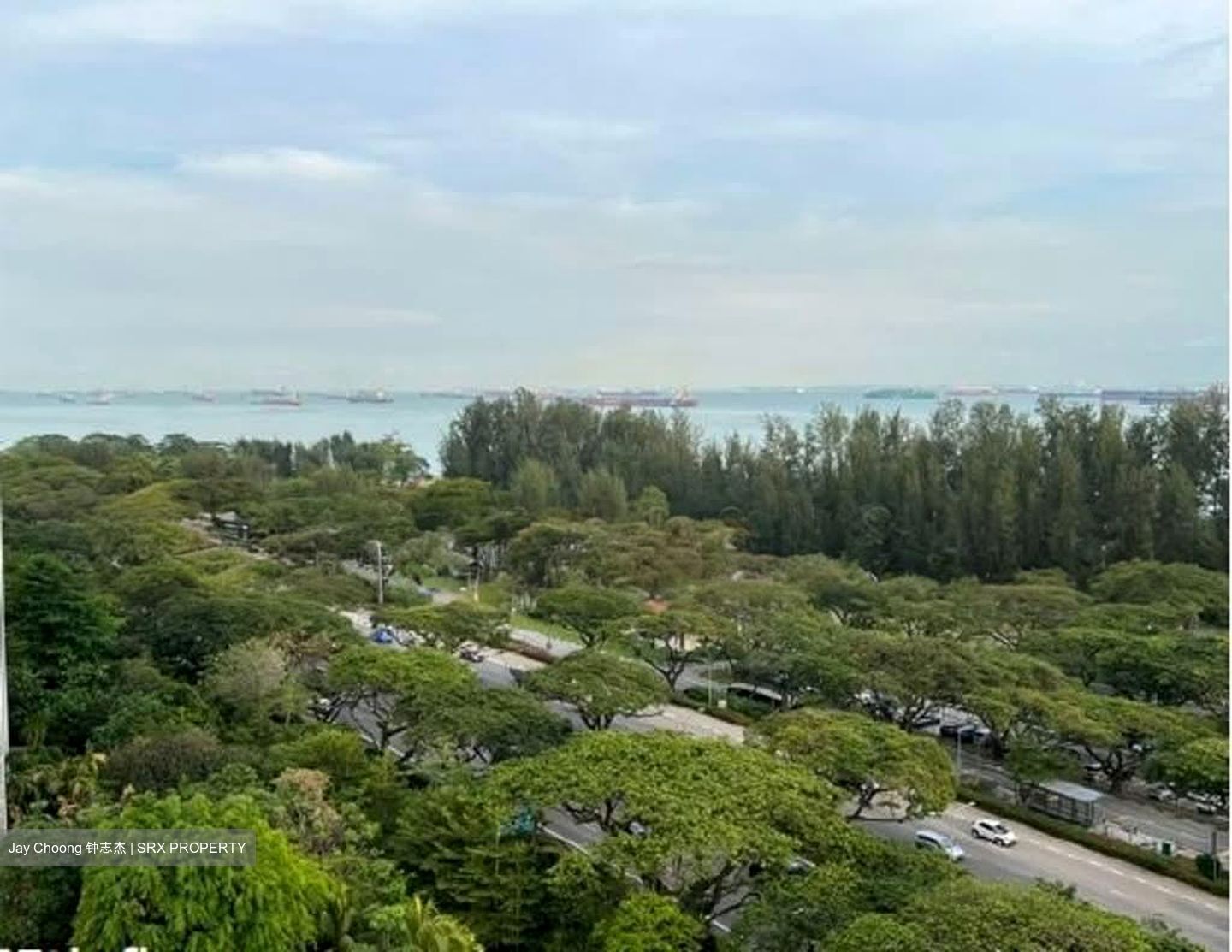 Meyer Road (D15), Condominium #548079861